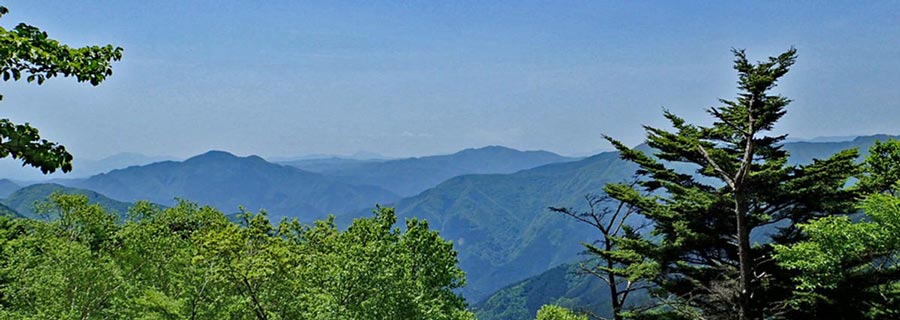 有間峠から川苔山・日向沢ノ頭から眺める鷹ノ巣山から御前山　Onmousで山名表示
