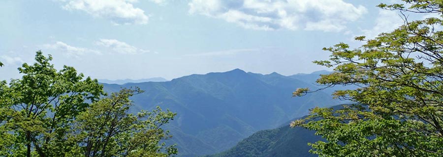 有間峠から川苔山・山頂の先には雲取山へと続く長い稜線　Onmousで山名表示