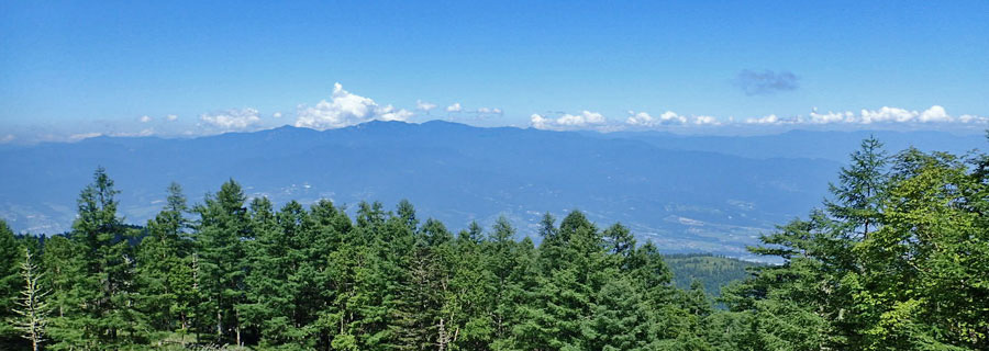 甘利山から千頭星山・広がる笹原の先に奥秩父の山並み　※onmousで山名を表示