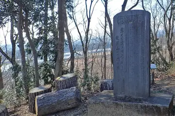 竜崖山の山頂
