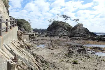 荒崎海岸
