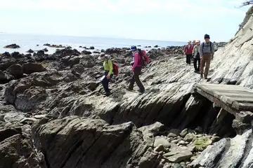 荒崎海岸