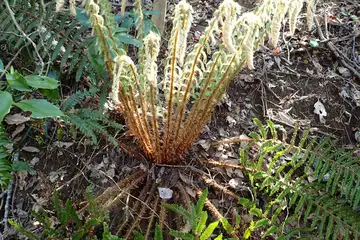 イノデ・横浜自然観察の森