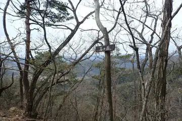 鳥ヶ岳の山頂
