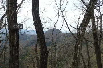 つつじ山の山頂
