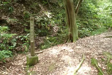 大岡川の源流