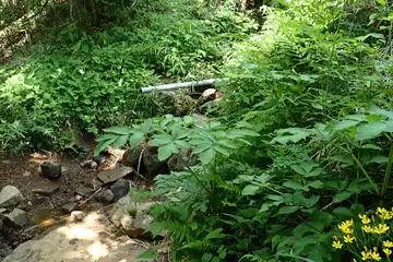 神明水の水場