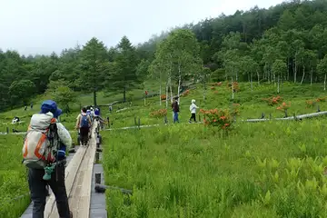 入笠湿原