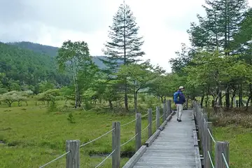大阿原湿原