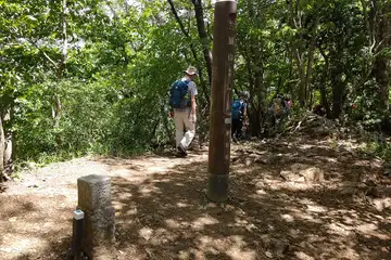 三頭山の東峰