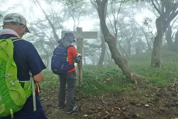茶ノ木畑峠