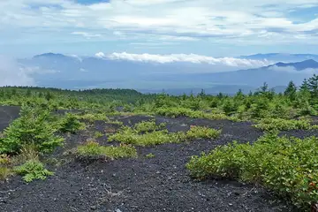 四辻