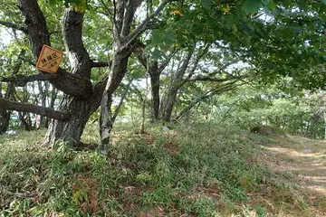 藤谷ノの頭