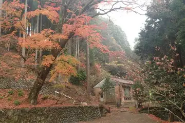 高山不動