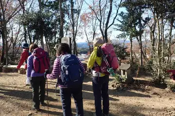 龍崖山の山頂