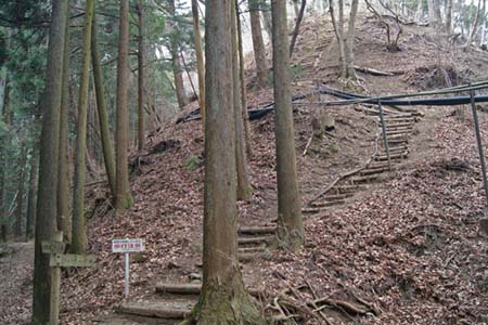 見城から梅ノ木尾根と見晴広場・10年前の弁天見晴コースは階段の道
