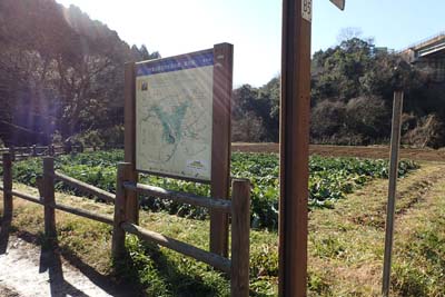 氷取沢から天園・氷取沢の市民農園