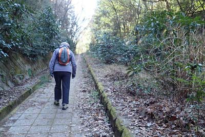 氷取沢から天園・沢沿いの道を横横道の下へ