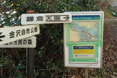 氷取沢から天園・通行止めであったひょうたん池への道