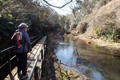 氷取沢から天園・薄氷が張ったひょうたん池