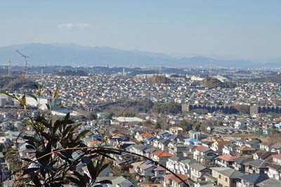 氷取沢から天園・丹沢の山並みの先に小金沢の稜線