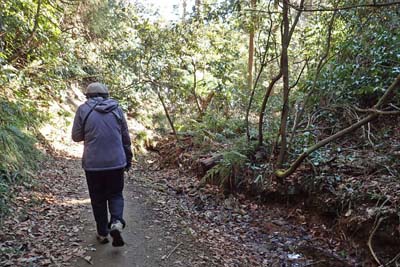 氷取沢から天園・沢沿いは大岡川の源頭