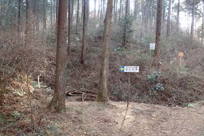 津久井堂所山・四方竹林への分岐