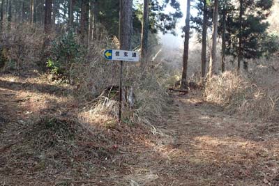 津久井堂所山・信玄道の分岐