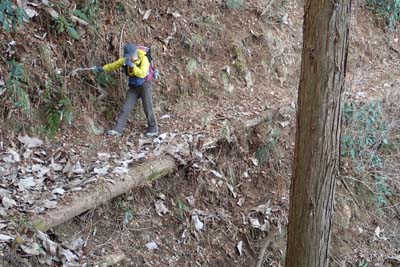 津久井堂所山・沢の源頭を巻き