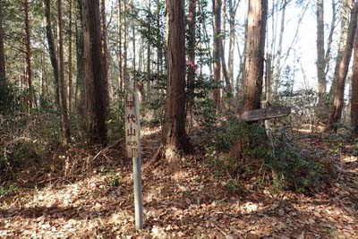 津久井堂所山・杉木立の中の平代山
