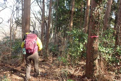 津久井堂所山・急な坂道を下り津久井堂所山へ
