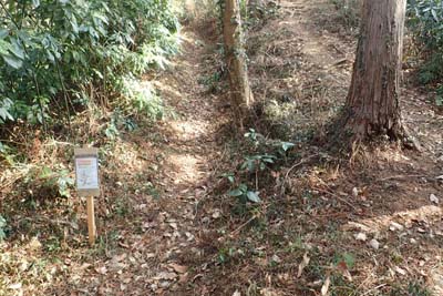 津久井堂所山・宮標石峰の登り返しに巻き道