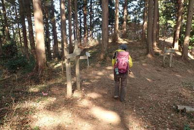 津久井堂所山・地図にない枝道が分かれています