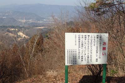 津久井堂所山・山頂にはミツバツツジが咲くと言う