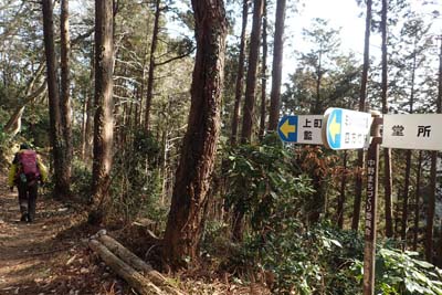 津久井堂所山・四方竹への道を左に分け