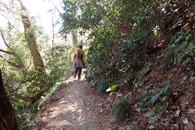 高尾山・緩やかに続く２号路