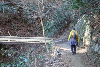 高尾山・途中に架かる木橋