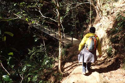 高尾山・再び木橋を渡り