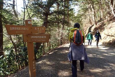 高尾山・薬王院からの道を合わせ
