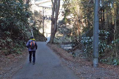 高尾山・暗い舗装道路を下って行きます