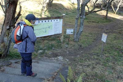 高尾山・川沿いに湯の花梅林
