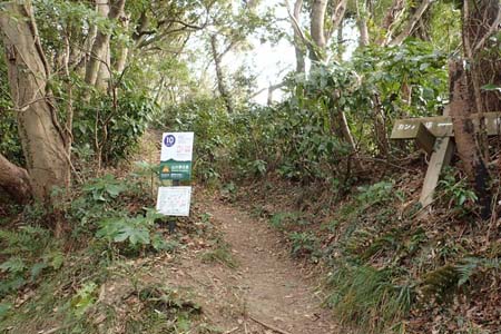 仙元山と大峰山・三浦アルプス南尾根のカンノン塚へ
