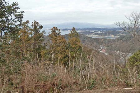 仙元山と大峰山・付近では藪の伐採が