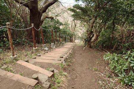 仙元山と大峰山・急な階段を下って行きます