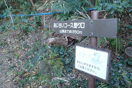 仙元山と大峰山・山頂までは３５０ｍの階段が続きます