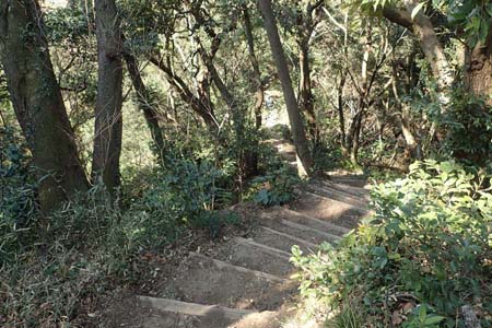 仙元山と大峰山・急な木の階段が続きます