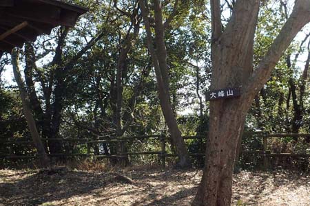 仙元山と大峰山・たどり着いた大峰山の山頂
