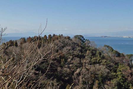 仙元山と大峰山・展望デッキの先に西コースのピーク