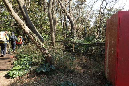 仙元山と大峰山・山頂広場に登り返し東尾根コースへ