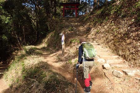 要害山からコヤシロ山・山ノ神の脇から山道を登り